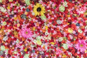 ホンダ/オデッセイ-125574