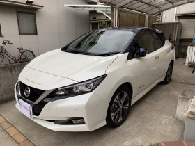 2019年1月29日成約のリーフ売買実績画像