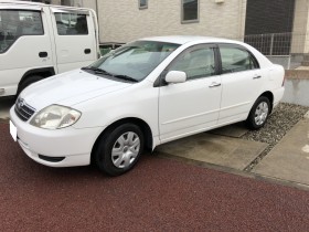 2019年3月4日成約のカローラ売買実績画像