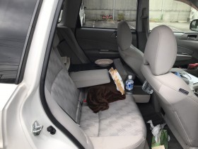 内装後方シート