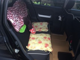 内装後方シート